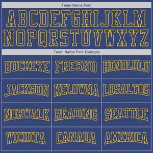 Custom Wholesale Stitched Royal <b>Gold</b> Sports Pullover Sweatshirt <b>Hoodie</b> Embroidery Fleece Breathable Outdoor Training Apparel - Product Image 6