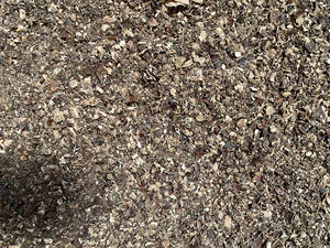 Poudre de coque de noix de cajou pour le bétail, déchets agricoles de coque de noix de cajou à vendre, moins de poussière, granulés de coque de noix de cajou - Product Image 4