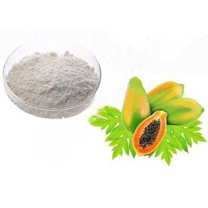 Poudre d'enzyme de papaïne, extrait naturel de papaye, haute activité protéolytique, qualité alimentaire pour animaux, complément alimentaire pour la santé digestive - Product Image 1