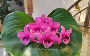 Orchidée artificielle flottante faite à la main, fleurs de marguerite en argile, ornement décoratif pour bassin, patio, maison, jardin - Product Image 3
