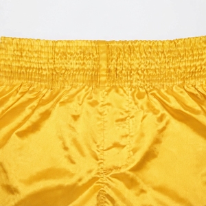 Shorts d'entraînement de Muay Thai pour hommes, légers, respirants, pour les arts martiaux, le kickboxing, la performance athlétique - Product Image 6