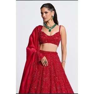 Vêtements de mariage de créateur Beau travail de broderie Lehenga Choli - Product Image 4