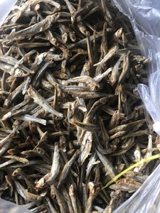 Anchoas Secas Premium, Pura Comida Natural de Mar, Suministro a Granel para Minoristas Globales y Proveedores de Servicios de Alimentos, Suministro Internacional - Product Image 5
