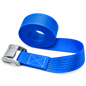 Sangle de fixation à boucle cam 50 mm en polyester 800 kg sans crochet pour la sécurisation de charges lourdes, usage intensif, fournisseur d'usine, fournisseur OEM - Product Image 5
