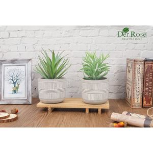 Set di 2 Piante Succulente Artificiali in Vaso Stile Boho per Casa, Stanza, Bagno, Camera da Letto o Ufficio - Product Image 3