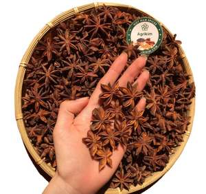Anis étoilé du Vietnam séché et parfumé, traité selon la méthode AD, pour la cuisine, provenant d'un fabricant vietnamien - Product Image 3