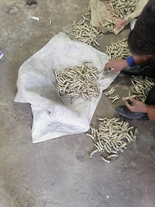 Broca de Acero Inoxidable de Moda, de Una Sola Articulación, Envuelta con Alambre de Cobre, para Productos Ecuestres - Product Image 5