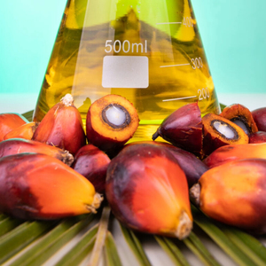 Huile de Palme Raffinée Vente Directe Usine Sans Pollution 100% Pure Qualité Supérieure Pour Cuisson En Vrac Bouteille Plastique & Fût Prix Usine - Product Image 5