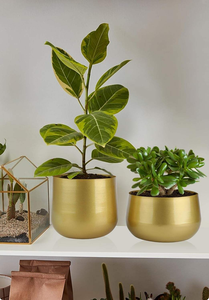 Macetas de Metal Color Dorado, Jardineras Metálicas para Decoración del Hogar - Product Image 4
