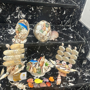 เปลือกหอยทะเลขนาดใหญ่แบบยืดหยุ่นจากเวียดนาม สำหรับจัดงานอีเว้นท์และบริการจัดเลี้ยงแบบพกพาได้ง่าย โดย 99 Gold Data Co - Product Image 6