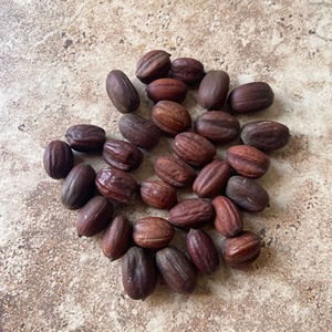 Graines de Jojoba Fraîches, Sélection Soignée de Graines Naturelles pour l'Extraction d'Huile de Jojoba, Produits de Soins de la Peau, Formules Capillaires et Utilisations Cosmétiques - Product Image 6