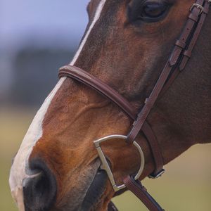 Bridas de Cuero para Caballo al por Mayor, Estilo Inglés y Occidental, Hechas a Mano, Duraderas y Cómodas para Montar y Entrenar, Directo de Fábrica - Product Image 5