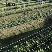 Filet de soutien pour plantes en jute, treillis de jardin en maille plastique avec piquets pour plantes grimpantes, melon amer, rouleau de 2m x 5m