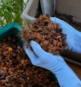 Copeaux de coco de haute qualité du Vietnam - Substrat propre et stable pour la culture - Product Image 6