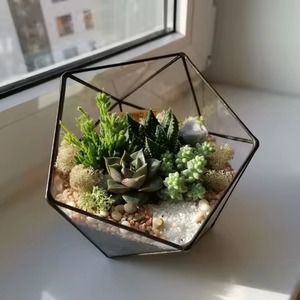 Elegant Living Indoor Garden Metal Terrarium Glass Plant Holder Stylish <b>Display</b> <b>Case</b> Home Decor - Product Image 2
