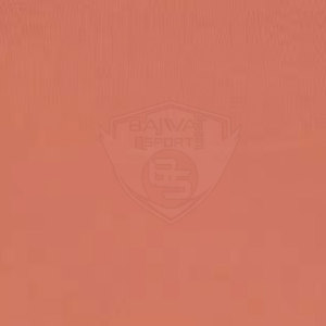 เสื้อกล้ามผู้หญิงคุณภาพพรีเมียมขายดี ทรงเข้ารูป ใส่สบายสำหรับฤดูร้อน ขายส่ง บริการ OEM ราคาถูก - Product Image 6