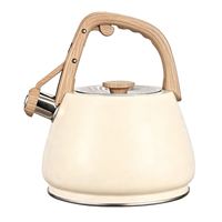 Bouilloire sifflante en acier inoxydable 2,7 L pour la cuisine, avec peinture colorée, théière