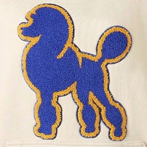 Sweat-shirt en chenille Sigma Gamma Rho pour femme, bleu neutre, avec poche, col rond, pull décontracté à manches longues - Product Image 3