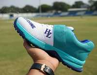 Nouvelles chaussures de cricket pour hommes et jeunes, légères, pour l'entraînement