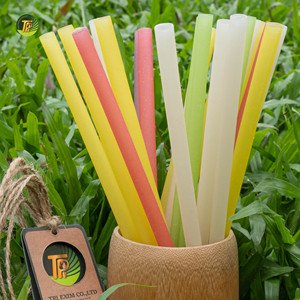หลอดดูดน้ำข้าวสารย่อยสลายได้ตามธรรมชาติ EcoVerde ไม่เปียกน้ำ ทนทาน เหมาะสำหรับร้านกาแฟพิเศษ บาริสต้าโซลูชั่นส์ คาร์โก - Product Image 3