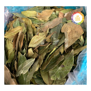 Hojas de guanábana secas al por mayor, hojas enteras naturales, limpias y secas, con bajo contenido de humedad, aptas para diversas aplicaciones - Product Image 6