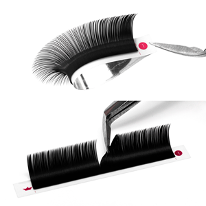 Charmlash Lashes Wholesale 0.06 Cc Curl Mix Tray German Pbt Fiber Lashes Seamless <b>Blend</b> Natural Black Single Individual - Product Image 1