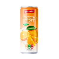 Sinaasappelsap Nieuwe smaak 330ml Puree in blikjes & flessen Heerlijke zachte fruit- & groentesappen