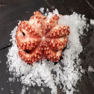 Mejor Pulpo Congelado de Primera Calidad al por Mayor, Venta a Granel, Listo para Enviar, Grado Alimenticio, Suministro para Exportación, Mariscos Congelados - Product Image 1