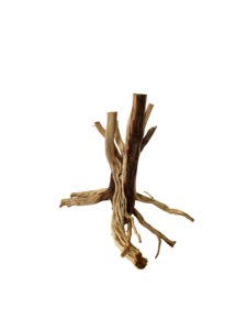 Décoration d'aquarium en bois flotté naturel de différentes tailles, forme irrégulière, écologique, ornement pour aquarium, produit du Vietnam - Product Image 1