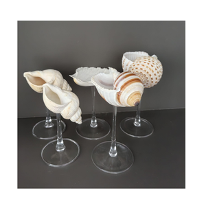 Verre à vin artisanal à double paroi en forme de coquillage, vaisselle à thème côtier pour cocktails, boutiques de cadeaux, vente en gros, exportation - Product Image 1