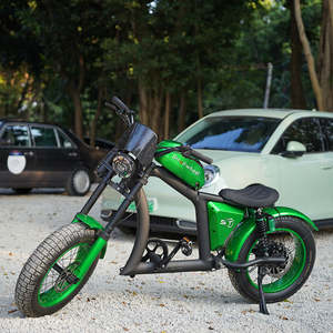 Vélo électrique à pneus larges 750W en stock entrepôt |   Vélo électrique de ville 20 pouces pour la plage, la neige et la montagne - Product Image 3