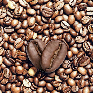 Oferta Exclusiva NT COFFEE Vietnam, Granos de Café Robusta Tostados Clásicos, Proceso de Miel, Origen Único, Calidad Premium - Product Image 2