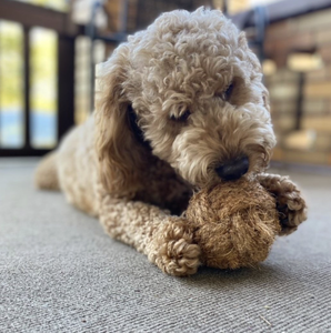 Pelota Masticable de Coco para Perros, Juguete Duradero y Seguro para Mascotas, Accesorios para Perros al por Mayor, OEM, Ecológico - Product Image 6