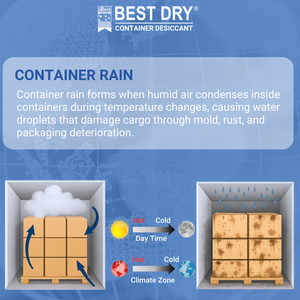 สารดูดความชื้นชนิดแห้งที่ดีที่สุด ขนาด 1 กก. |   การควบคุมความชื้นขั้นสูงและการป้องกันเชื้อรา |   ผลิตในบังกลาเทศ - Product Image 5