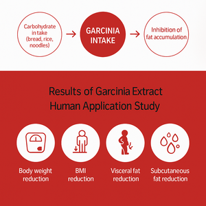 กาแฟผสมการ์ซีเนีย OEM 60 ซอง 750 มก. HCA ไขมันต่ำ ช่วยเผาผลาญไขมัน ควบคุมน้ำหนัก อาหารเสริมสำหรับสตรีมีครรภ์ - Product Image 3