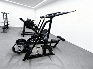 Plaque <span class=keywords><strong>de</strong></span> <span class=keywords><strong>poids</strong></span> gratuit <span class=keywords><strong>de</strong></span> Fitness <span class=keywords><strong>de</strong></span> haute qualité chargée assis entraîneur <span class=keywords><strong>de</strong></span> rangée haute <span class=keywords><strong>rameur</strong></span> Lat Pulldown Machine pour Club <span class=keywords><strong>de</strong></span> Fitness - Product Image 6