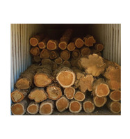 Bois d'Iroko / Teck africain pour les menuisiers - Service amical et livraison rapide