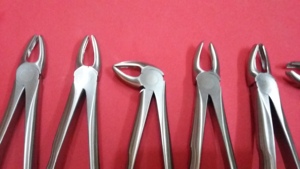 Forceps professionnel pour l'extraction des molaires supérieures, équipement chirurgical dentaire, construction de mâchoire de précision en acier inoxydable durable - Product Image 2