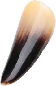 ธรรมชาติ