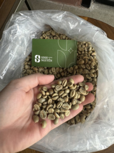 Granos de Café Arábica Natural Premium al por Mayor, 99% Maduros, Procesados con Miel, Sin Tostar, Suministro a Granel, Vietnam - Product Image 4