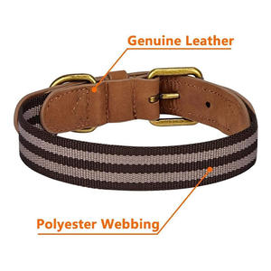 Collier pour chien personnalisé de luxe en cuir véritable, séchage rapide, étiquette privée, taille sur mesure, respirant et confortable - Product Image 3