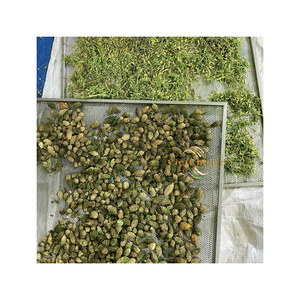 ผลิตภัณฑ์มะระขี้นกแห้งธรรมชาติจากเวียดนาม บรรจุภัณฑ์ขนาดใหญ่ อายุการเก็บรักษา 8 เดือน สมุนไพรสำหรับทำเครื่องดื่ม จากเวียดชอยส์ เวียดนาม - Product Image 1