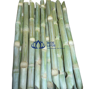 HAUTE QUALITÉ |   Bâtonnets de framboises surgelées pelées, pour jus frais, pressage IQF, en vrac, approvisionnement en gros, Vietnam - Product Image 1