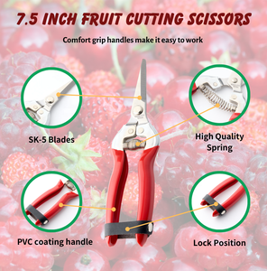 Kwang Hsieh กรรไกรตัดองุ่น7.5นิ้ว DIY มีด้ามจับป้องกันการลื่นด้ามจับโลหะดีไซน์แบบเบา - Product Image 2