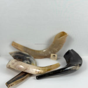 Shofar yemenita hecho a mano de alta calidad, cuerno Natural que sopla Rosh Hashanah Kosher Kudu Ram Horn, técnica pulida ecológica - Product Image 6
