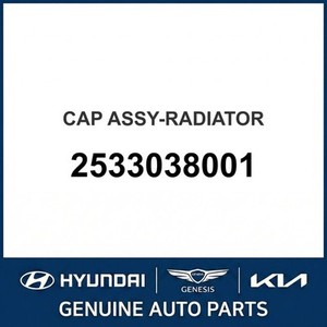 Radiadores Nuevos para Sorento 2533038001 - Product Image 1