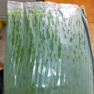 Hojas de plátano frescas y congeladas de primera calidad de Vietnam, aptas para envasado de alimentos, estándar de exportación para el mercado de Corea y Japón. Ms. May - Product Image 1