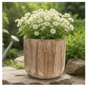 Maceta de Madera Ecológica al por Mayor con Acabado Rústico Quemado, Maceta de Madera Natural para Decoración Moderna de Interiores de Hogar y Oficina - Product Image 6