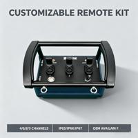 Control Remoto Inalámbrico Proporcional Hidráulico Industrial IP67 a Prueba de Agua con Largo Alcance para Maquinaria de Construcción