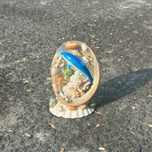 <b>Large</b> Size Natural Seashells for Resort and Beach Theme Display - Product Image 5